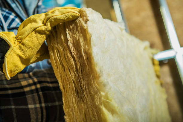 Best Insulation Contractors for Homes  in Homer, MI