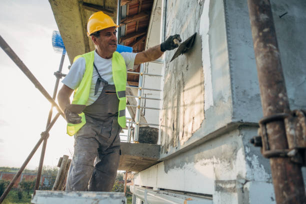 Best Insulation Contractor Near Me  in Homer, MI
