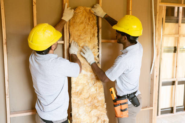 Best Energy-efficient Insulation  in Homer, MI