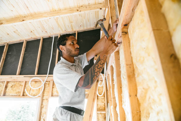 Best Spray Foam Insulation  in Homer, MI