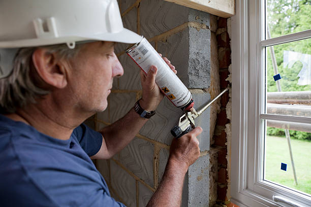 Best Insulation Inspection Services  in Homer, MI