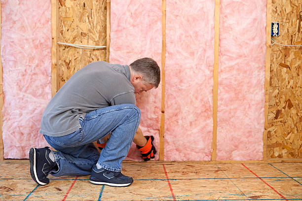 Insulation Inspection Services in Homer, MI