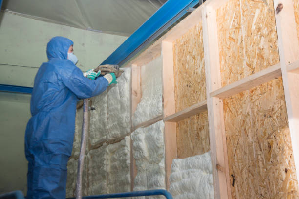 Best Insulation Repair Services  in Homer, MI