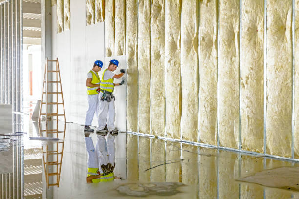 Best Affordable Insulation Services  in Homer, MI